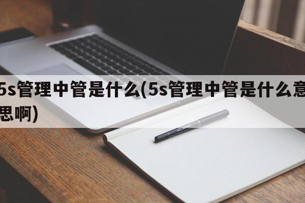 5s管理中管是什么(5s管理中管是什么意思啊)